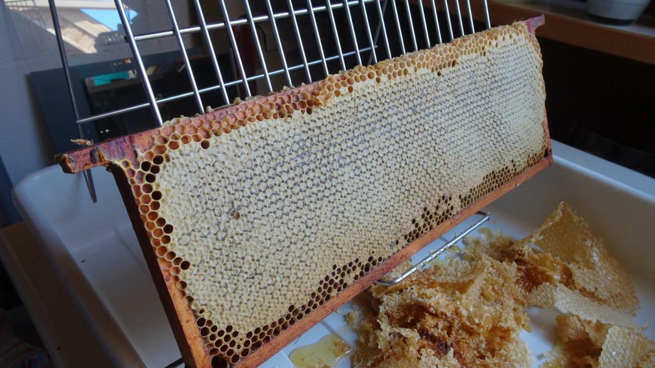 La Miellerie Konuk evi Huppaye Dış mekan fotoğraf